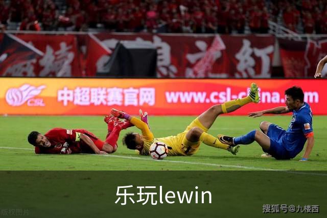 乐玩lewin公司介绍图片